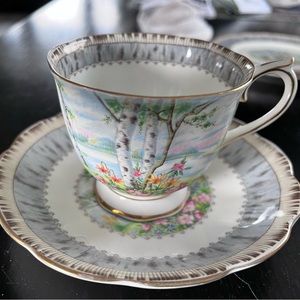 1 Tea Cup & Saucer, Silver Birch Bone China in mint condition